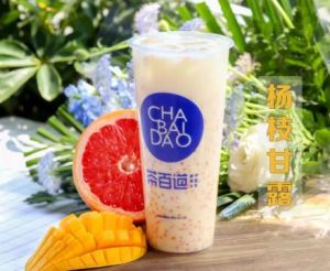 鲸鱼体育加盟费要多少？重庆